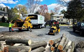 Best Lawn Drainage Solutions  in Glen Rock, NJ