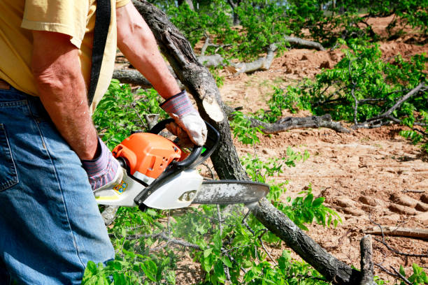 Mulching Services in Glen Rock, NJ